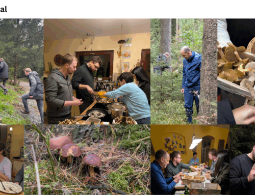 Mal ein etwas anderes Teamevent!